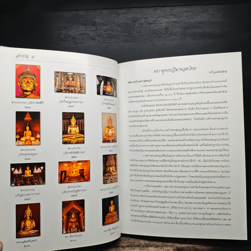 พระพุทธรูป คู่บ้านคู่เมือง - วรนันทน์ ชัชวาลทิพากร รูปที่ 11