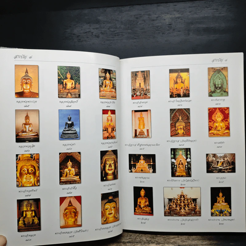 พระพุทธรูป คู่บ้านคู่เมือง - วรนันทน์ ชัชวาลทิพากร รูปที่ 10
