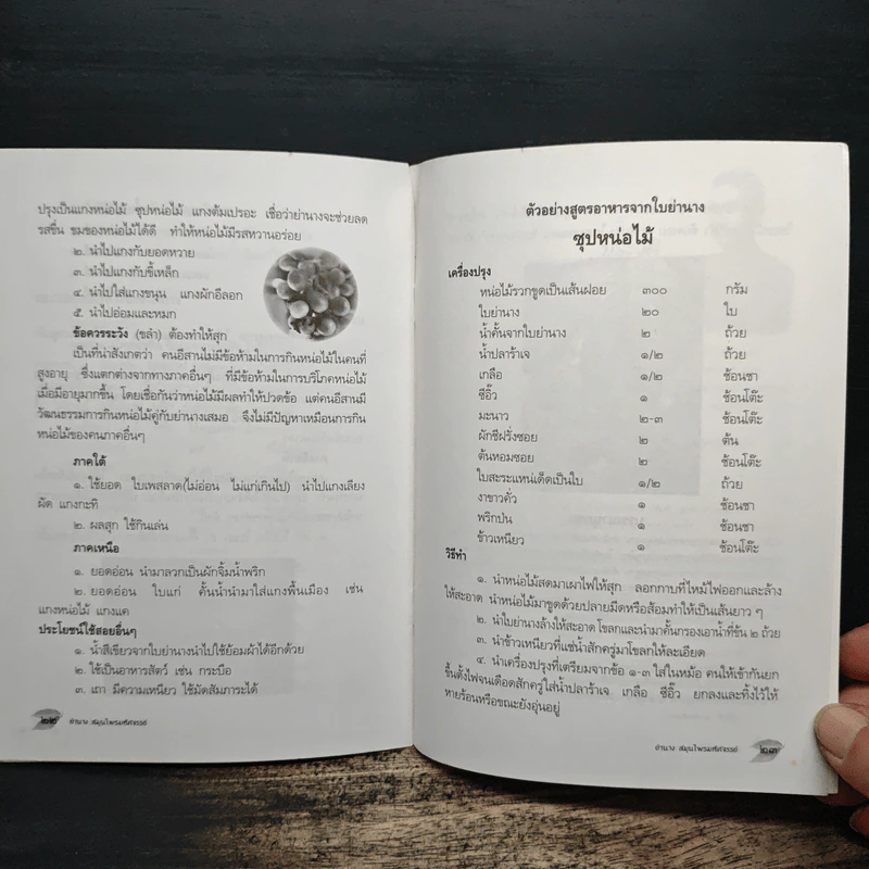 ย่านาง สมุนไพรมหัศจรรย์ - ใจเพชร มีทรัพย์ (หมอเขียว) รูปที่ 8