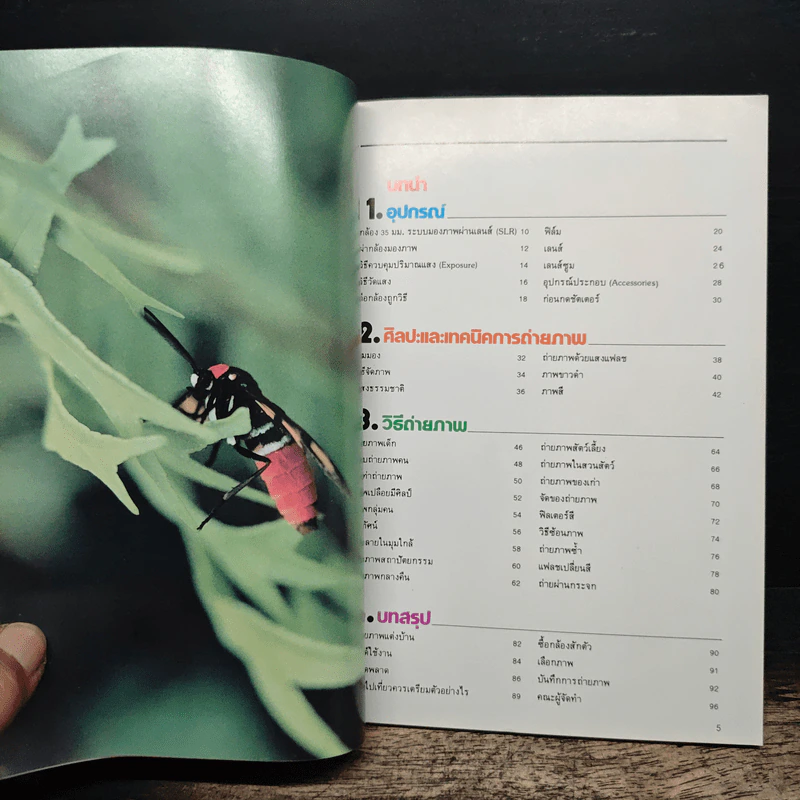 มือใหม่ถ่ายภาพ เรียนถ่ายภาพด้วยตนเอง - ทอม เชื้อวิวัฒน์ รูปที่ 6