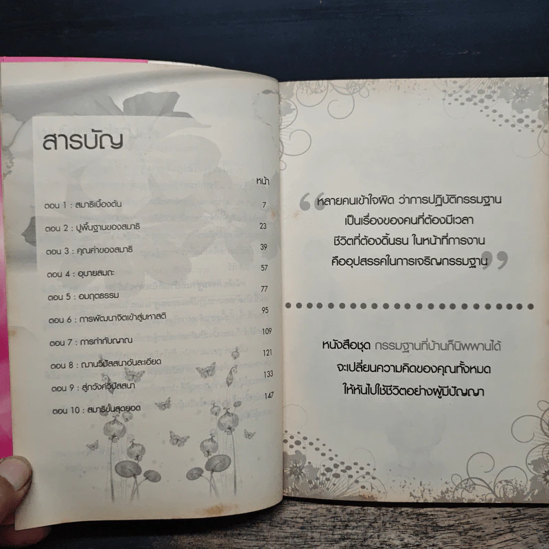 หลวงพ่อวิริยังค์ สอนวิปัสสนาและการทำสมาธิ - หลวงพ่อวิริยังค์ สิรินธโร รูปที่ 7