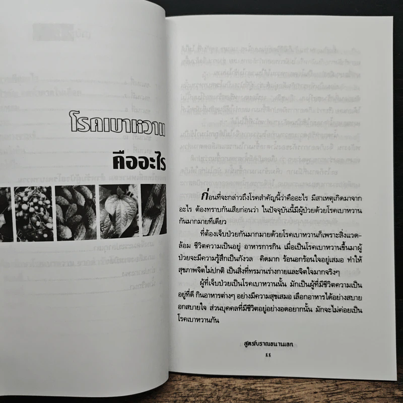 สมุนไพรรักษาเบาหวาน สูตรโบราณขนานเอก - ภาณุทรรศน์ รูปที่ 8