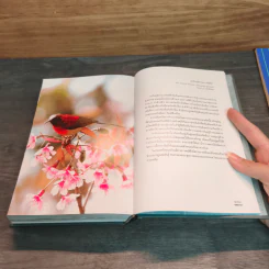 Bird Study เรียนรู้เรื่องนก - ประทุมทอง รูปที่ 11