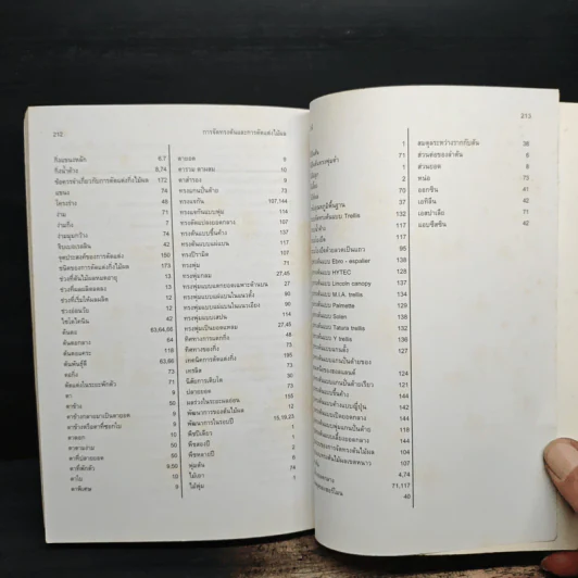 การจัดทรงต้นและการตัดแต่งไม้ผล - กวิศร์ วานิชกุล รูปที่ 9