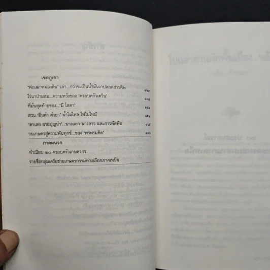 20 ประสบการณ์ เกษตรผสมผสานภาคเหนือ รูปที่ 8