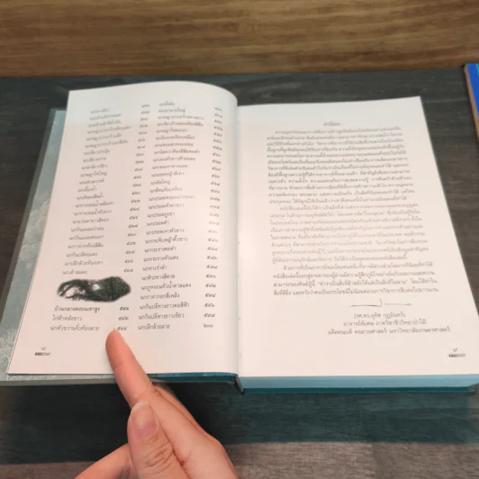 Bird Study เรียนรู้เรื่องนก - ประทุมทอง รูปที่ 9