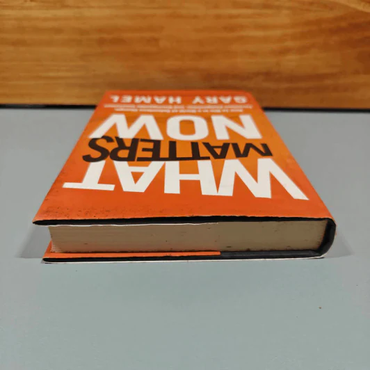 What Matters Now - Gary Hamel รูปที่ 6
