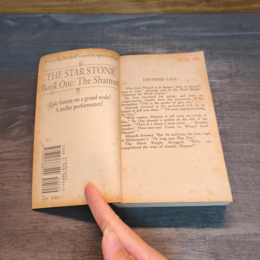 The Secular Wizard - Christopher Stasheff รูปที่ 6