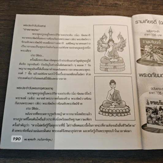 พระพุทธเจ้า ฉบับการ์ตูน รูปที่ 8