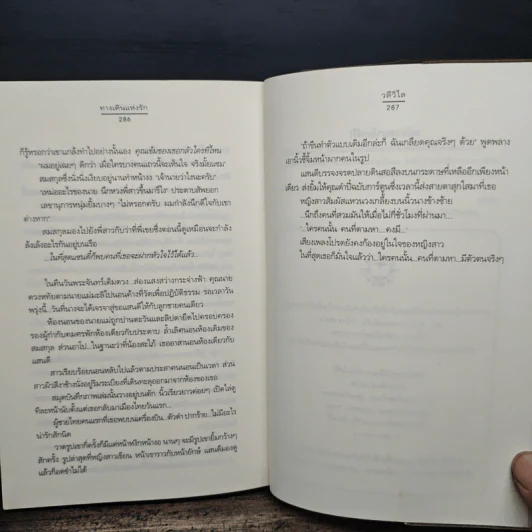 ทางเดินแห่งรัก - วลีวิไล รูปที่ 8