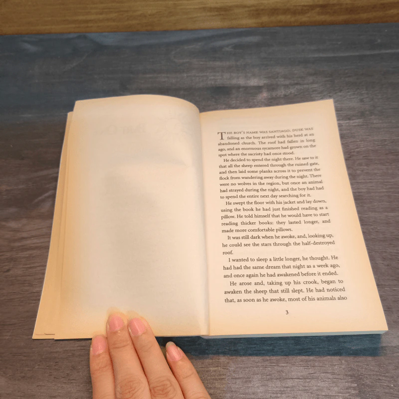 The Alchemist - Paulo Coelho รูปที่ 7