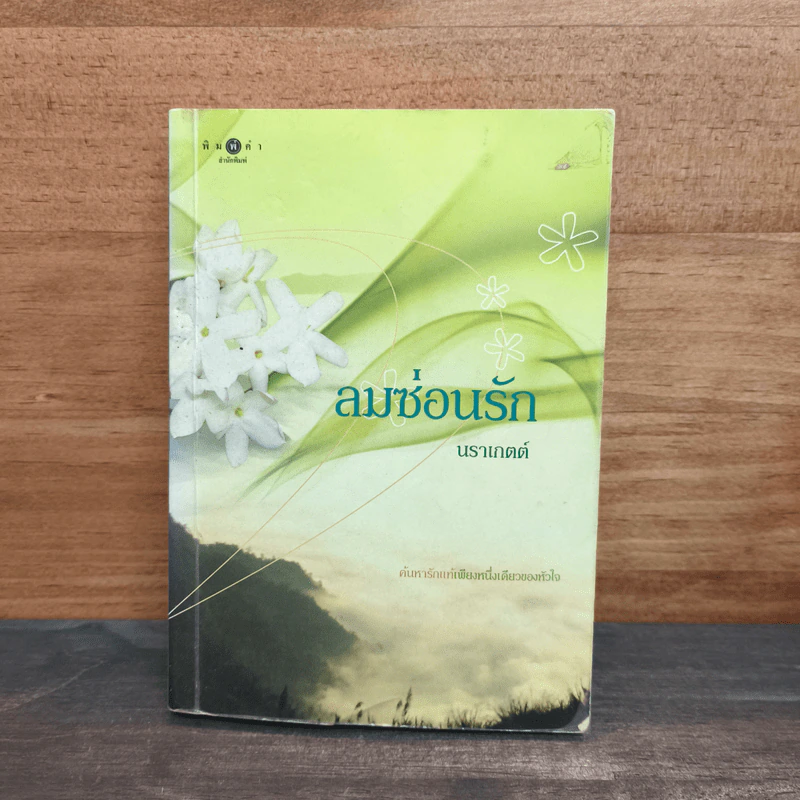 ลมซ่อนรัก - นราเกตต์ รูปที่ 1