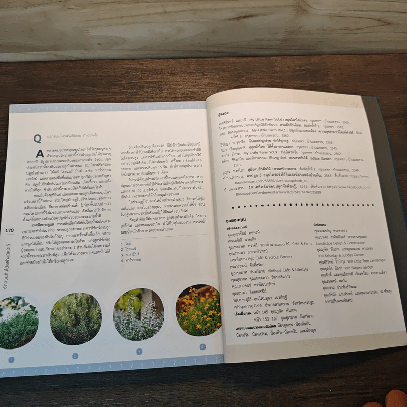 จัดสวนกินได้อย่างมีสไตล์ The Edible Garden - ทิพาพรรณ ศิริเวชฎารักษ์ รูปที่ 8