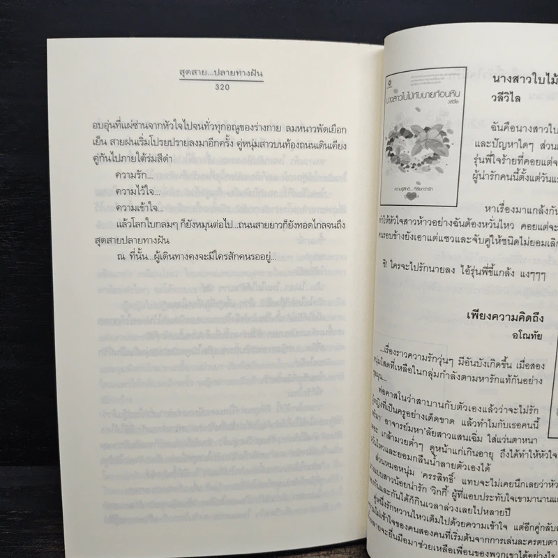 สุดสาย...ปลายทางฝัน - ฟ้าปรายฝน รูปที่ 8