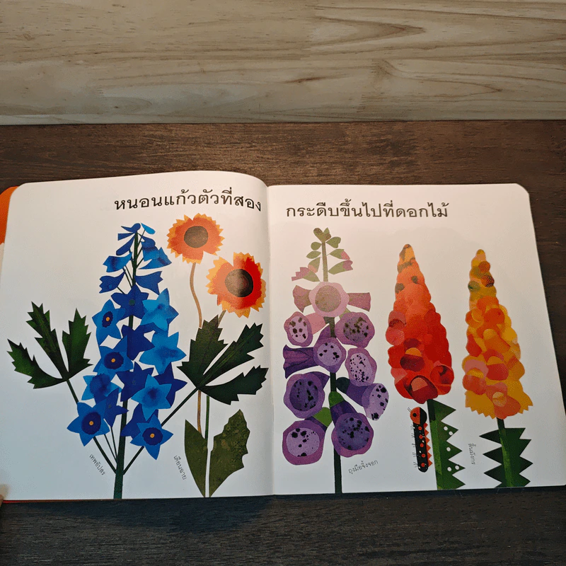 หนอนแก้วสิบตัว รูปที่ 6