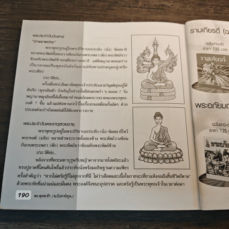 พระพุทธเจ้า ฉบับการ์ตูน รูปที่ 8