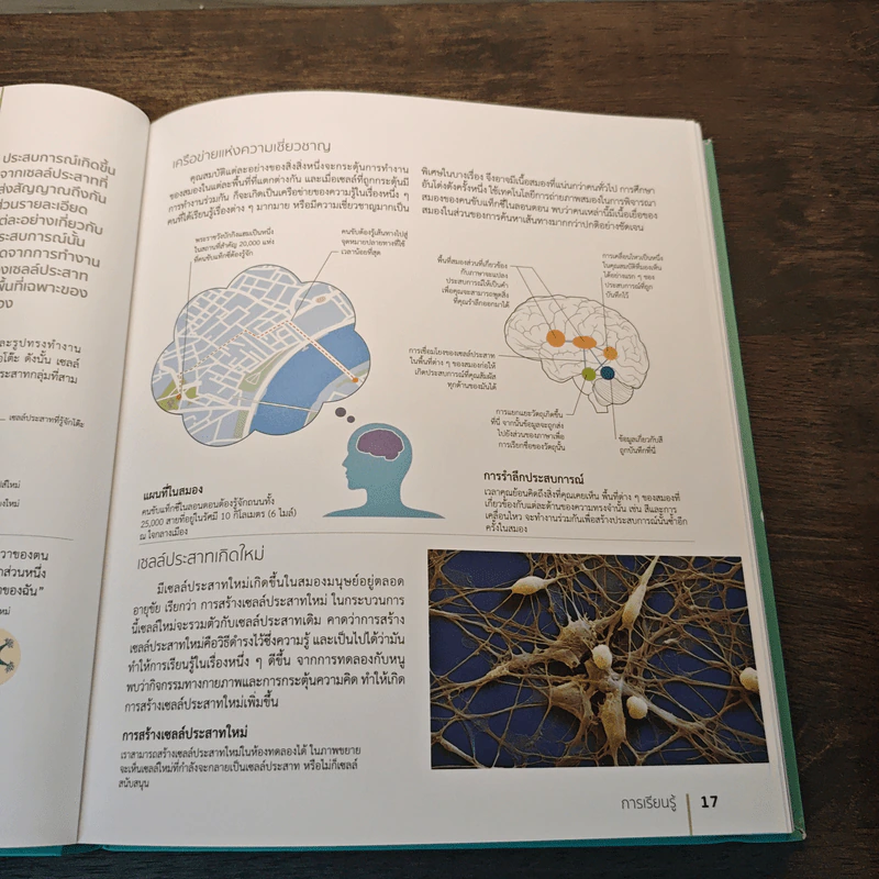 The Brain Fitness Book โจทย์และกิจกรรมลับคมความคิด เพื่อสมองที่เฉียบคมแคล่วคล่อง ไม่เป็นรองใคร - Rita Carter รูปที่ 10