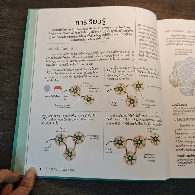 The Brain Fitness Book โจทย์และกิจกรรมลับคมความคิด เพื่อสมองที่เฉียบคมแคล่วคล่อง ไม่เป็นรองใคร - Rita Carter รูปที่ 9