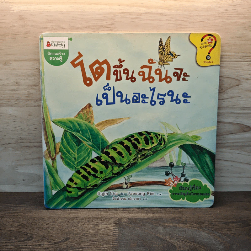 โตขึ้นฉันจะเป็นอะไรดีนะ รูปที่ 1