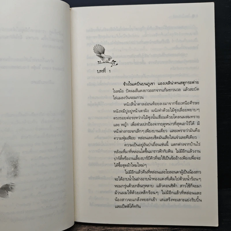 ตามรักล่ามรกต Romancing the Stone - แคทเธอรีน ลานิแกน รูปที่ 7