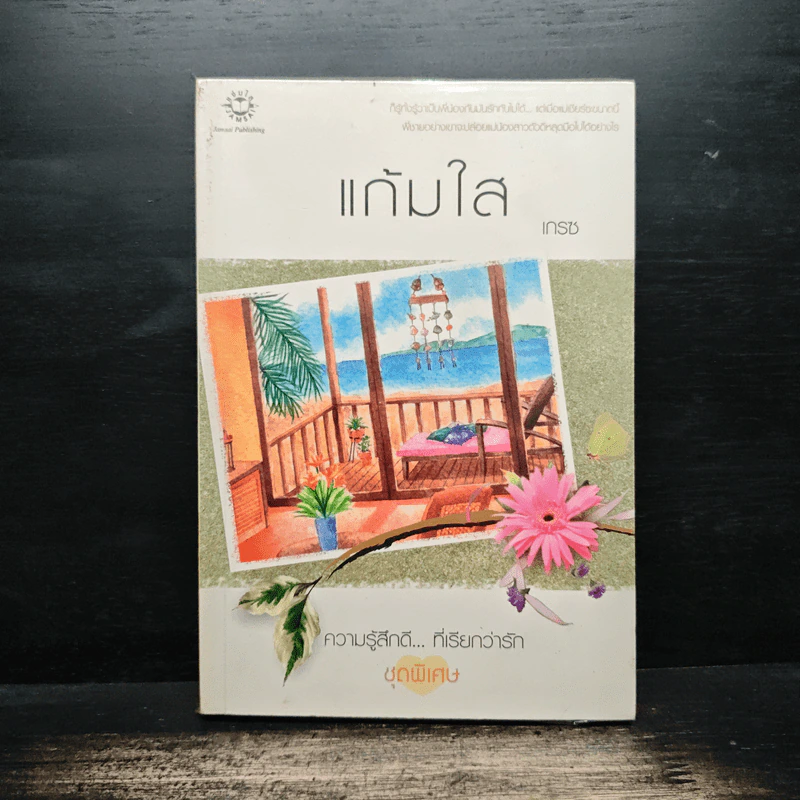 แก้มใส - เกรซ รูปที่ 1