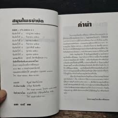 สมุนไพรบำบัด รูปที่ 6