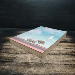 ร้านหนังสือที่มีแต่นิยายรัก - ประชาคม ลุนาชัย รูปที่ 4