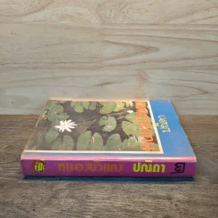 หนองบัวแดง เล่ม 2 - ปณิดา รูปที่ 2