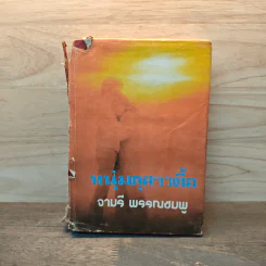หนุ่มดุสาวดื้อ - จามรี พรรณชมพู รูปที่ 1