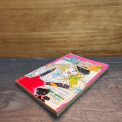 แหวกฟ้าคว้ารัก เล่ม 2 รูปที่ 3
