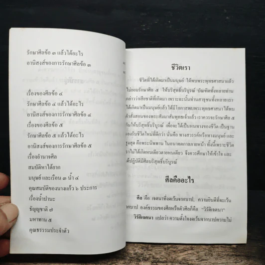 ความรู้เรื่องศีล 5 รักษาศีล 5 แล้วได้อะไร - สรรค์ชัย พรหมฤาษี รูปที่ 8