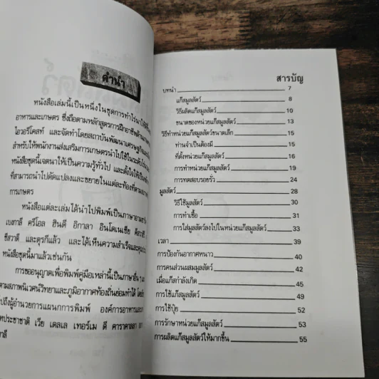 แก๊สมูลสัตว์ คืออะไร ผลิตอย่างไร ใช้อย่างไร รูปที่ 7