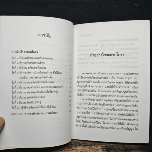 ทำอย่างไรจะหายโกรธ - พระพรหมคุณาภรณ์ (ป.อ.ปยุตฺโต) รูปที่ 7