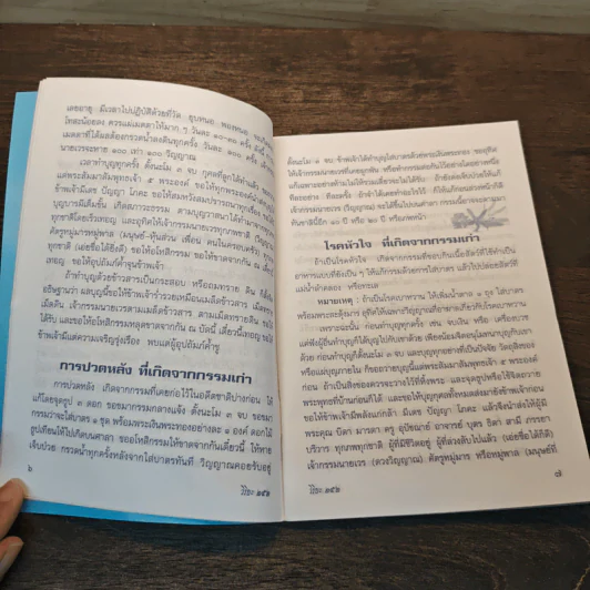 คู่มือสวดมนต์ วิธีแก้กรรม สะเดาะเคราะห์ รูปที่ 7