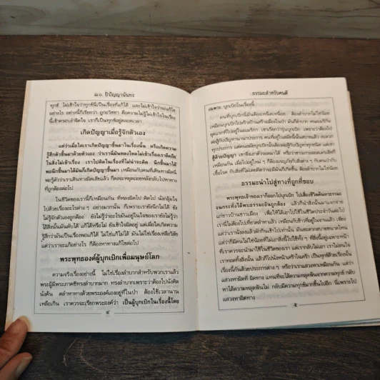 การดำเนินชีวิตที่ถูกต้องธรรมะเป็นประโยชน์แก่ชีวิตอย่างไร? - พระเทพวิสุทธิเมธี (ปัญญานันทภิกขุ) รูปที่ 7