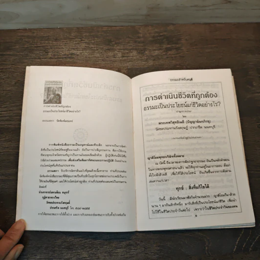 การดำเนินชีวิตที่ถูกต้องธรรมะเป็นประโยชน์แก่ชีวิตอย่างไร? - พระเทพวิสุทธิเมธี (ปัญญานันทภิกขุ) รูปที่ 6
