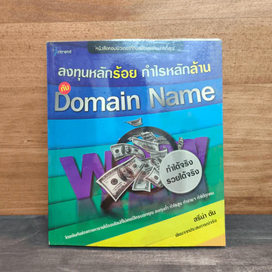 ลงทุนหลักร้อย กำไรหลักล้าน กับ Domain Name - สรีน่า ตัน รูปที่ 1