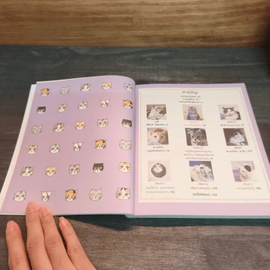 บ้านหลังใหญ่ - ทูนหัวของบ่าว รูปที่ 7