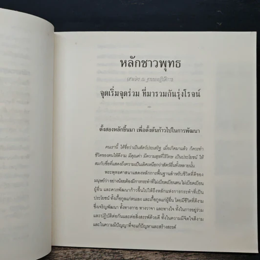 หลักชาวพุทธ - พระพรหมคุณาภรณ์(ป.อ.ปยุตฺโต) รูปที่ 9