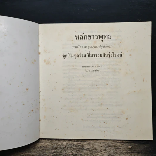 หลักชาวพุทธ - พระพรหมคุณาภรณ์(ป.อ.ปยุตฺโต) รูปที่ 6