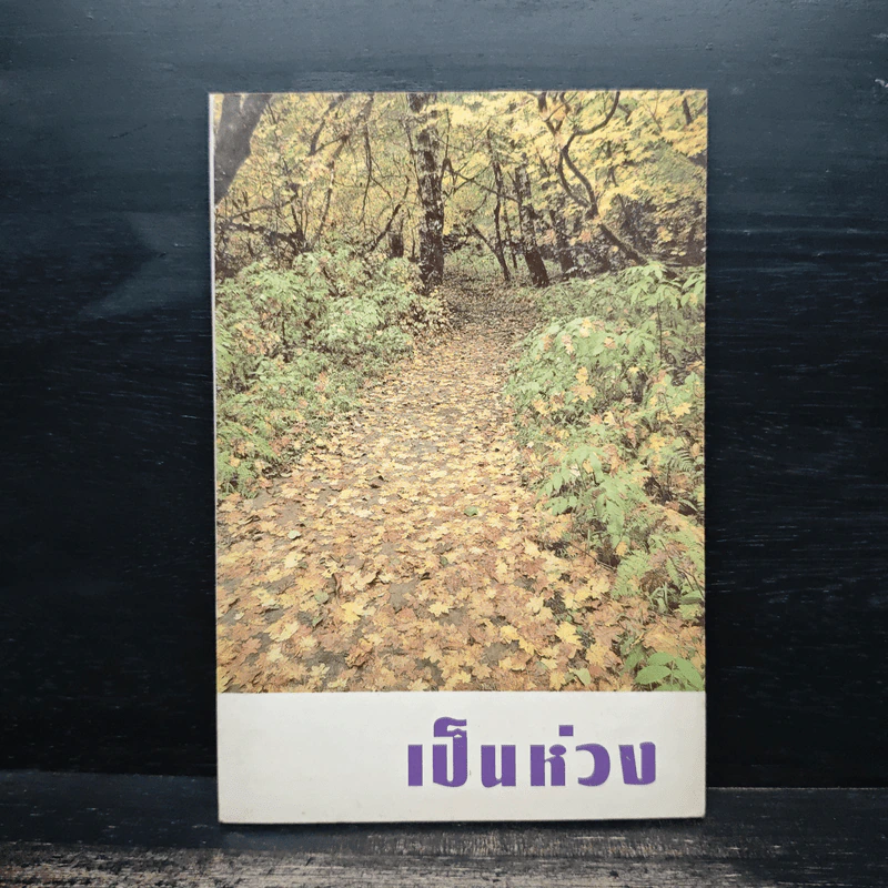 เป็นห่วง - พระอาจารย์สนอง กตปุญโญ รูปที่ 1