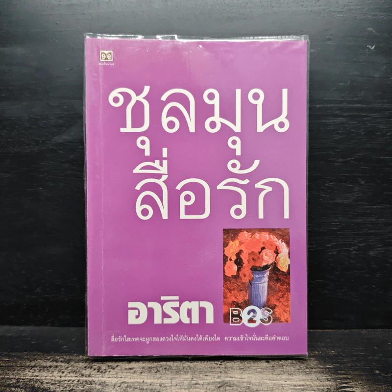 ชุลมุนสื่อรัก - อาริตา รูปที่ 1