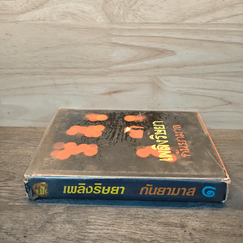 เพลิงริษยา เล่ม 1 - กันยามาส รูปที่ 2