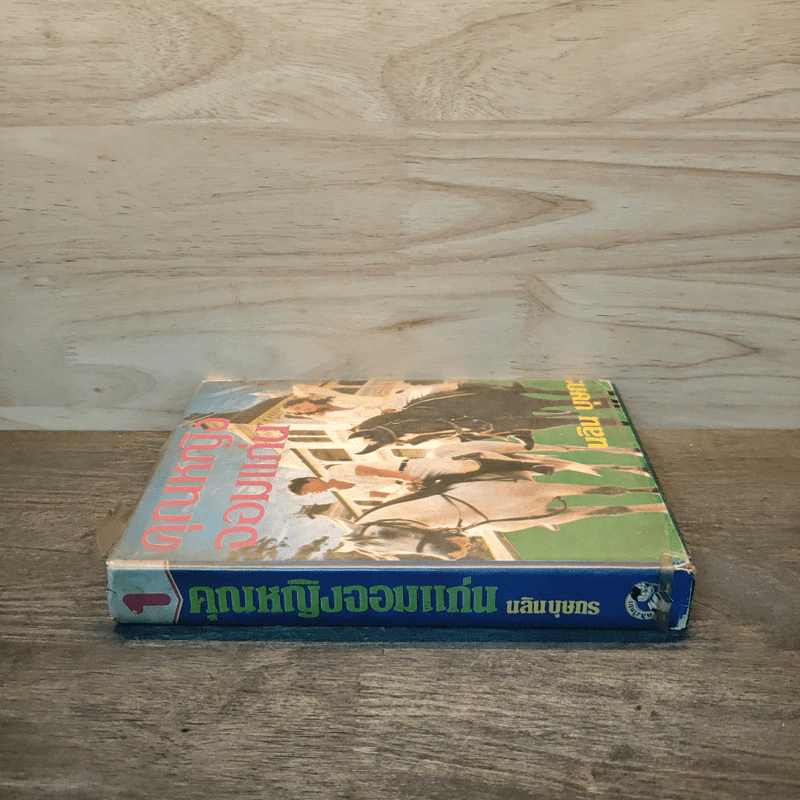 คุณหญิงจอมแก่น เล่ม 1 - นลิน บุษกร รูปที่ 2