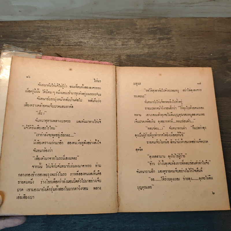 ไก่นา เงาจันทร์ - มธุรส รูปที่ 6
