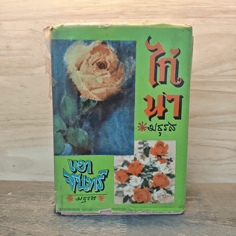 ไก่นา เงาจันทร์ - มธุรส รูปที่ 1
