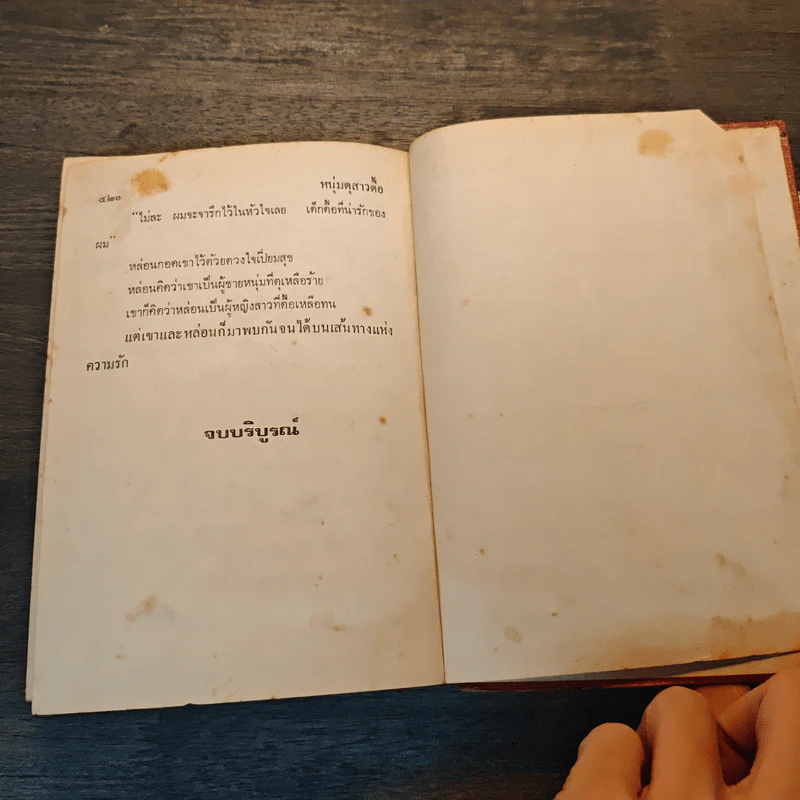 หนุ่มดุสาวดื้อ - จามรี พรรณชมพู รูปที่ 7