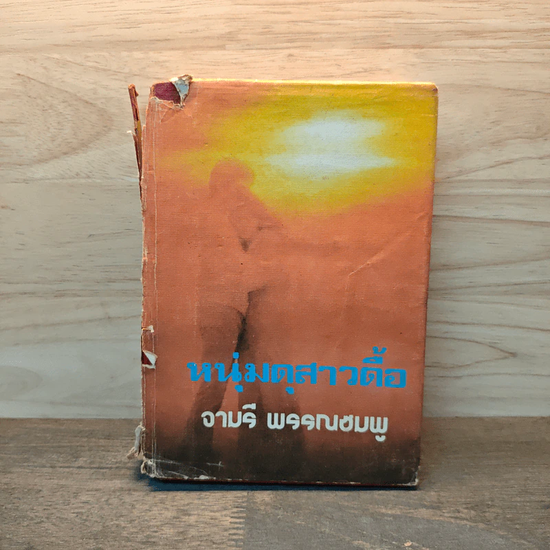 หนุ่มดุสาวดื้อ - จามรี พรรณชมพู รูปที่ 1