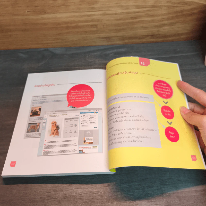 Infographic Design ฉบับ Quick Start + Easy Workshop + Make Money - ธัญธัช นันท์ชนก รูปที่ 17