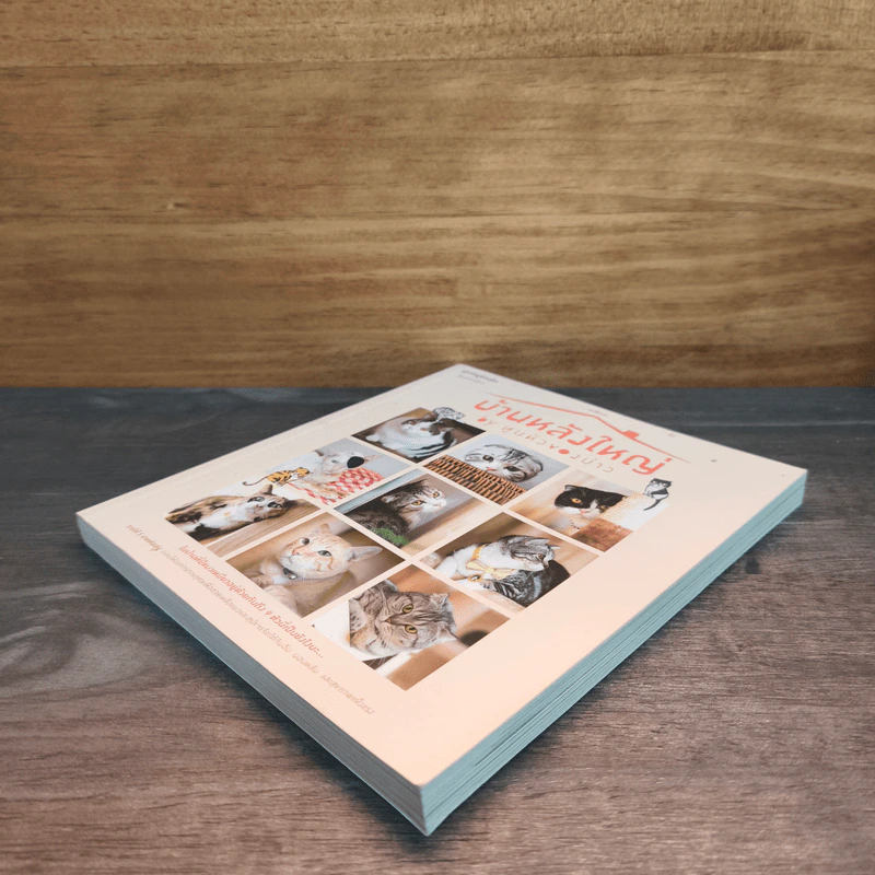 บ้านหลังใหญ่ - ทูนหัวของบ่าว รูปที่ 3